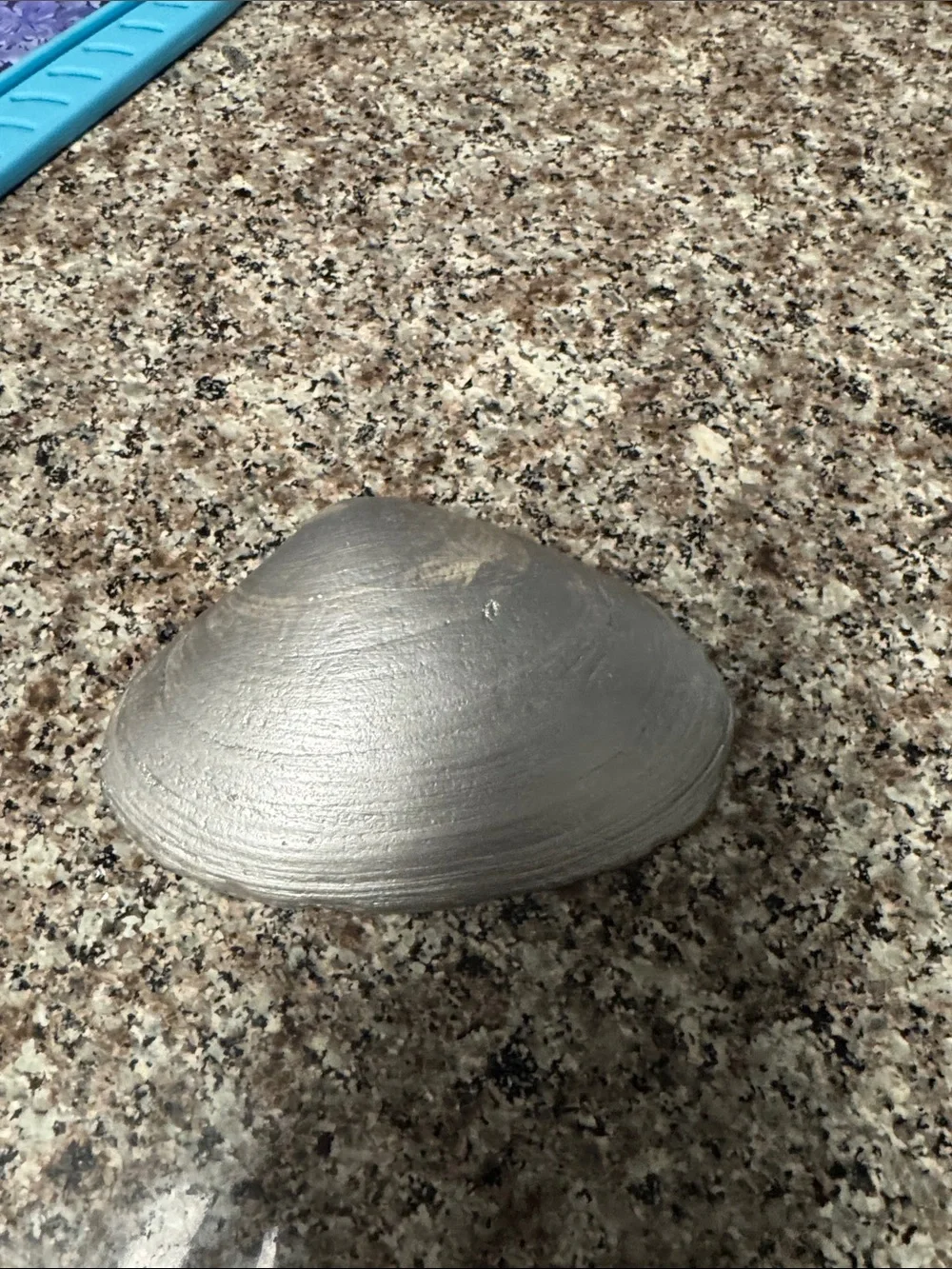 N/A handmade seashell
